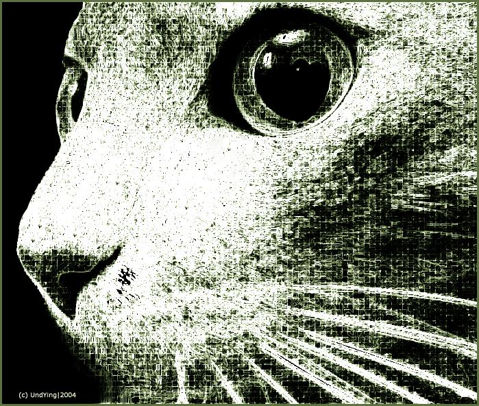 КотрикС
