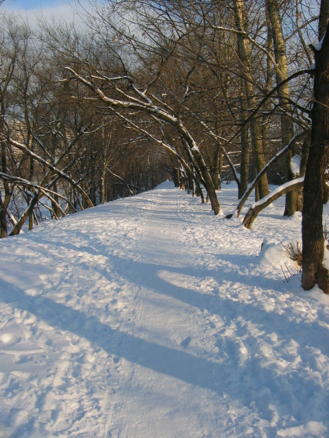 Бесконечная снежная тропинка