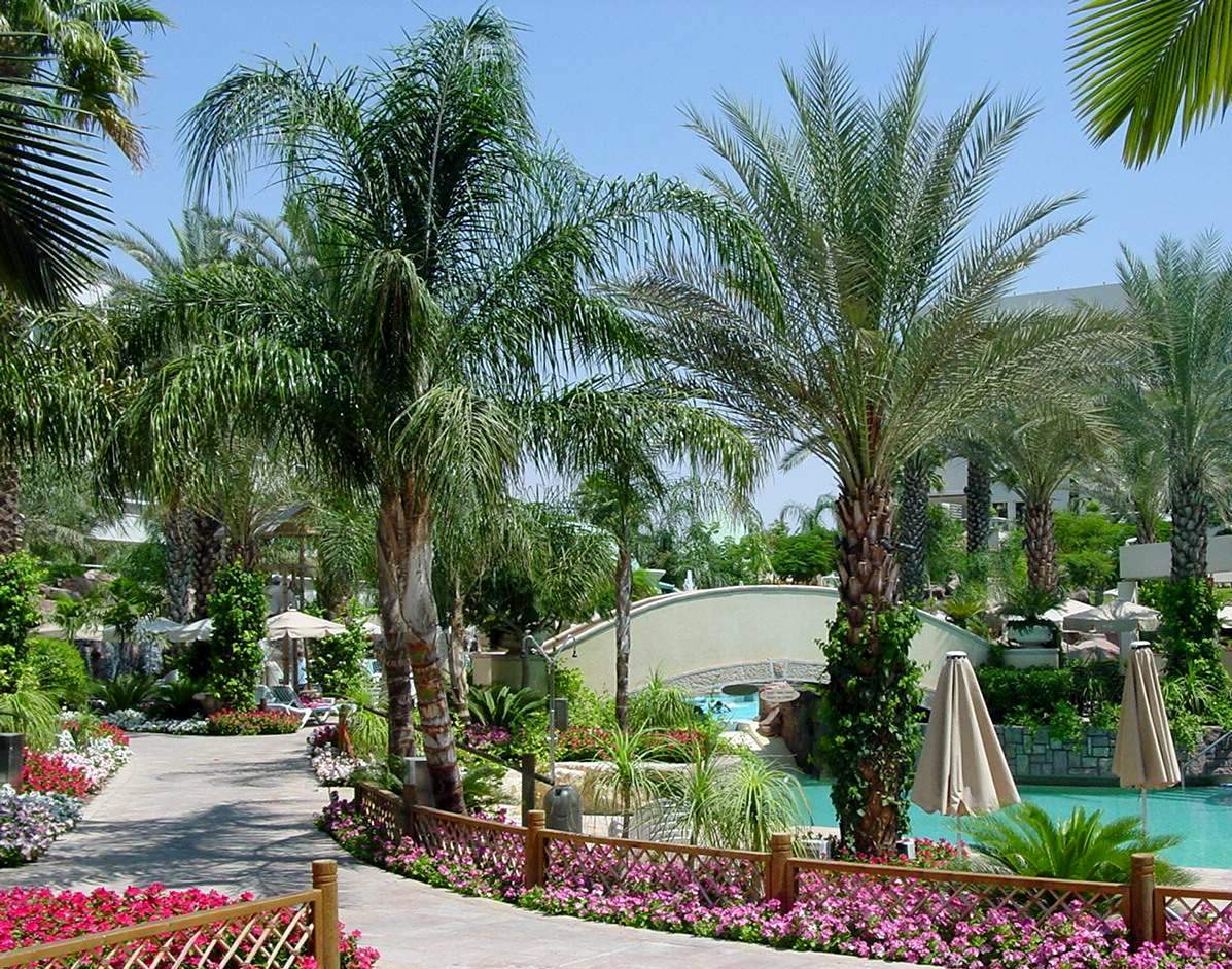 Eilat. Место для романтических прогулок