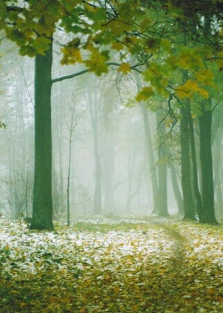 Ранняя зима