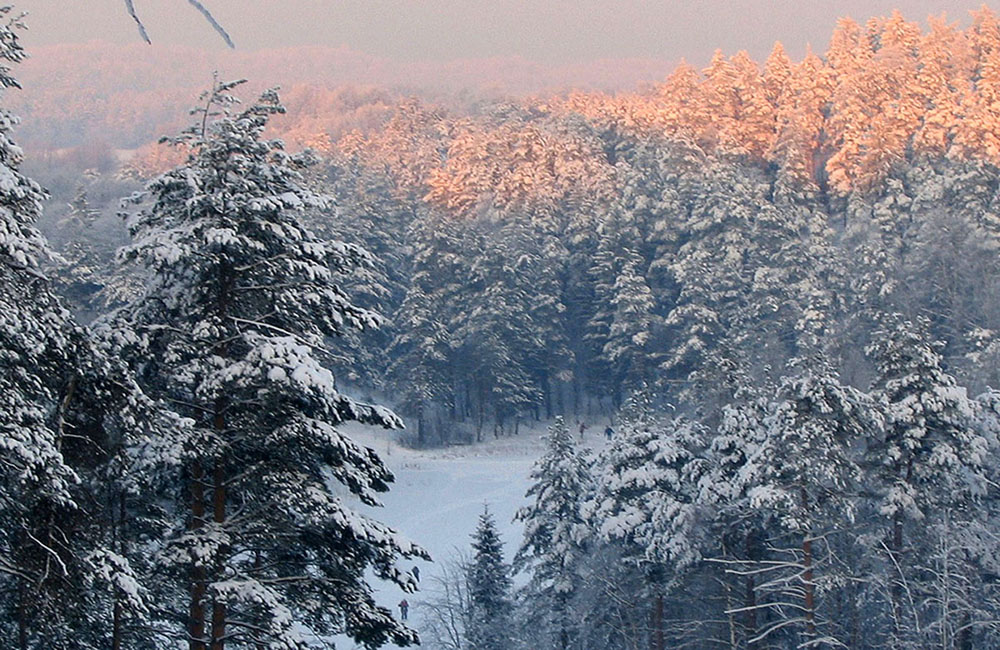 Зимняя сказка