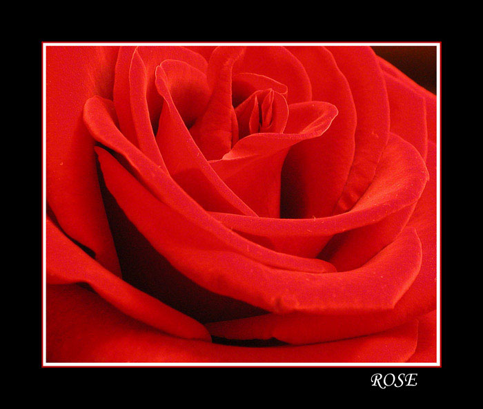  Happy Valentines Day