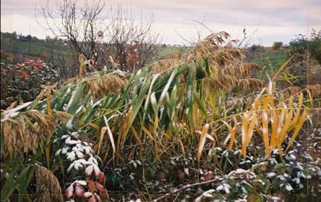 Поздняя осень или раняя зима...
