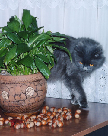 Ну мне же тоже интересно 