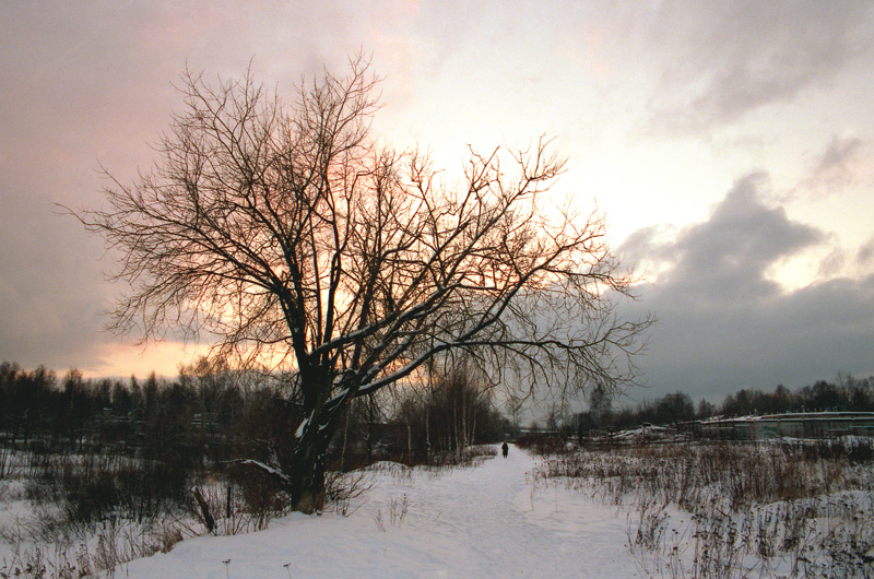 Предзакатная.
