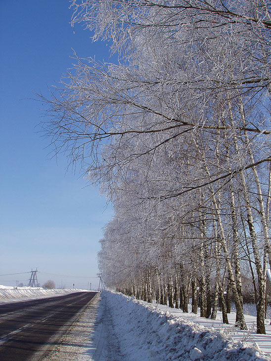 Дорога в Мамоново