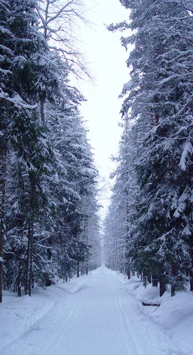 Тропа