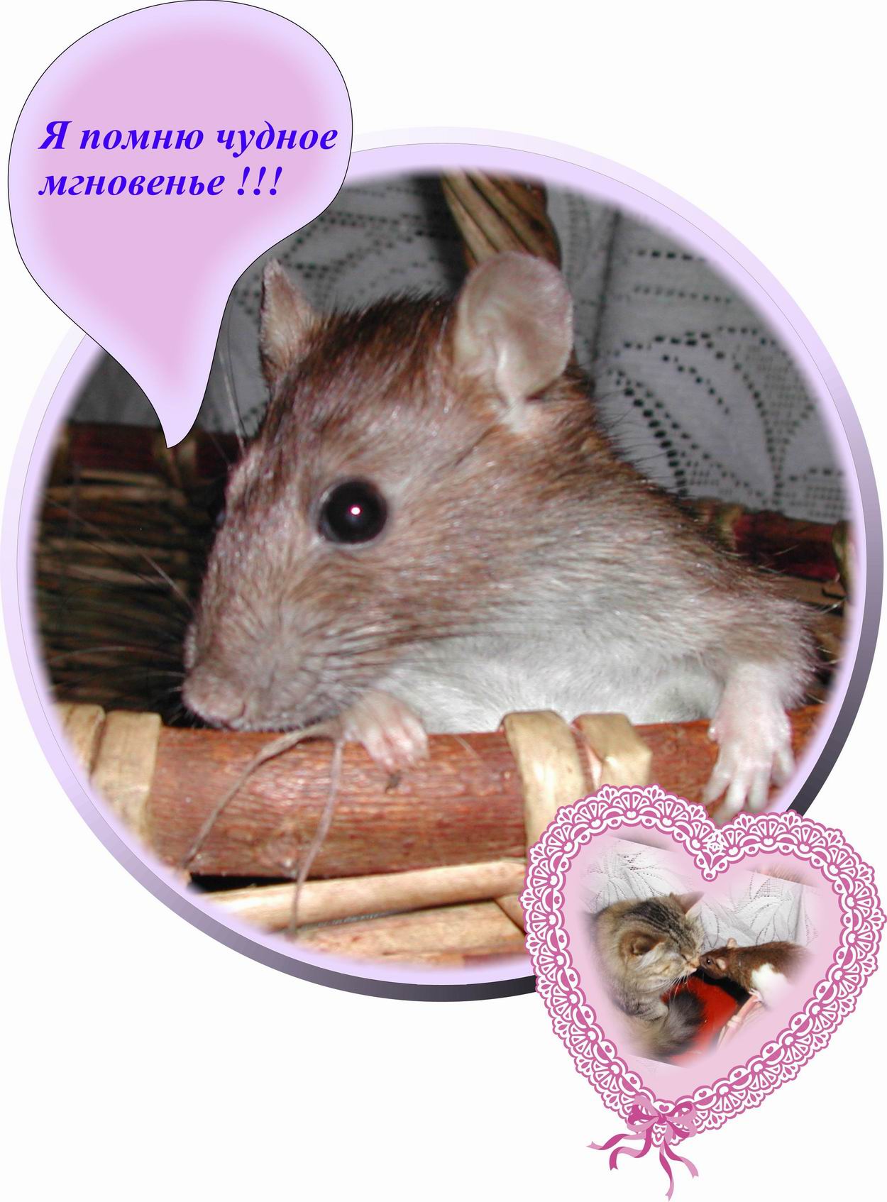 Воспоминания 
