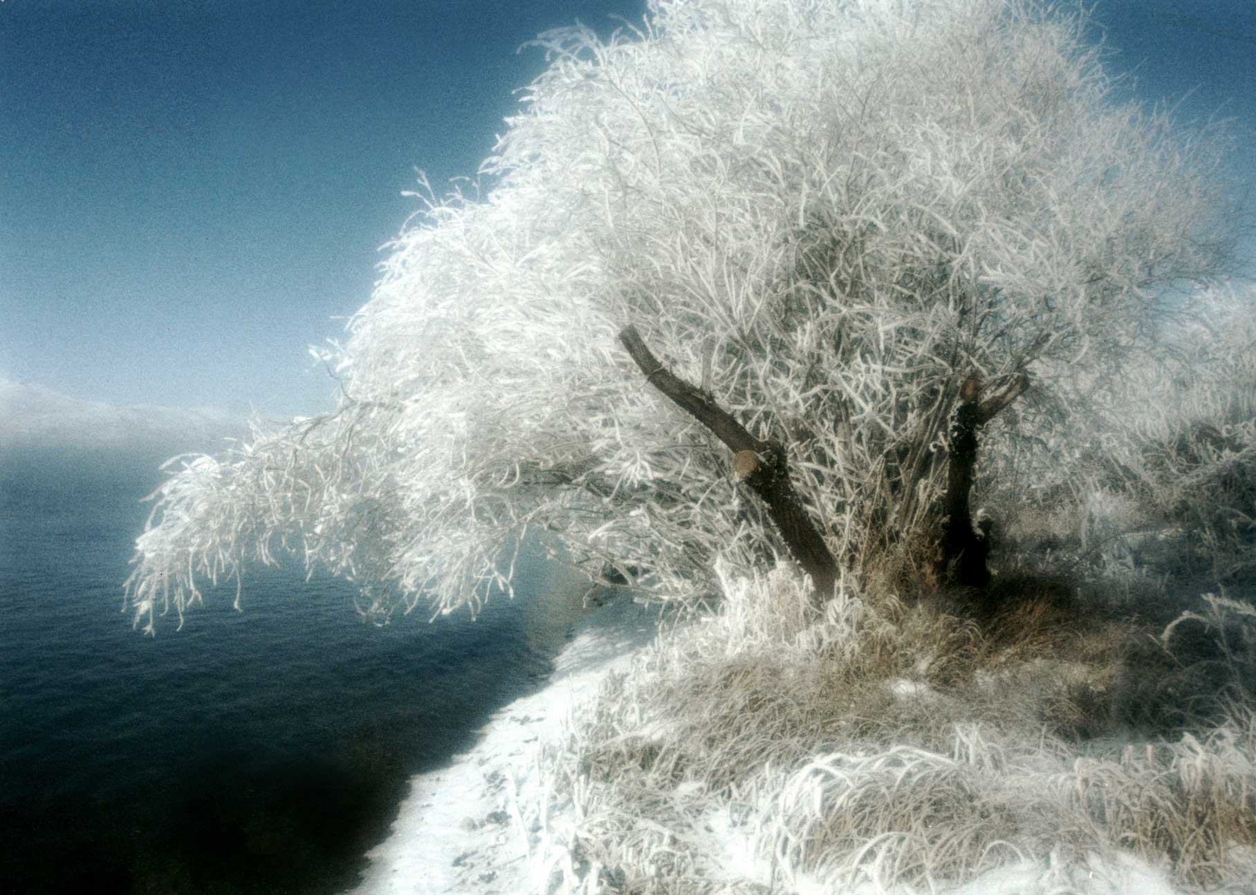 ВОТ ОНА РЕАЛЬНАЯ ПРИРОДА, В РЕАЛЬНЫХ МЕСТАХ