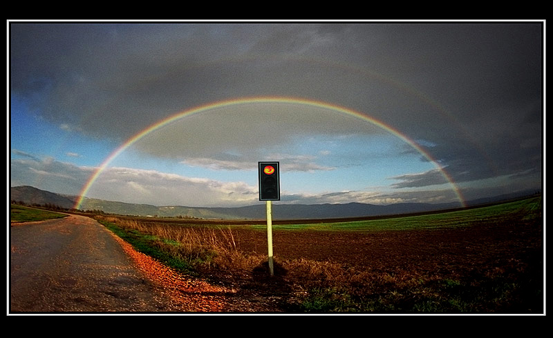TRAFFIC LIGHT