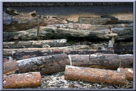 Желтое на сером