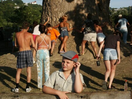 Вот это дерево!!!