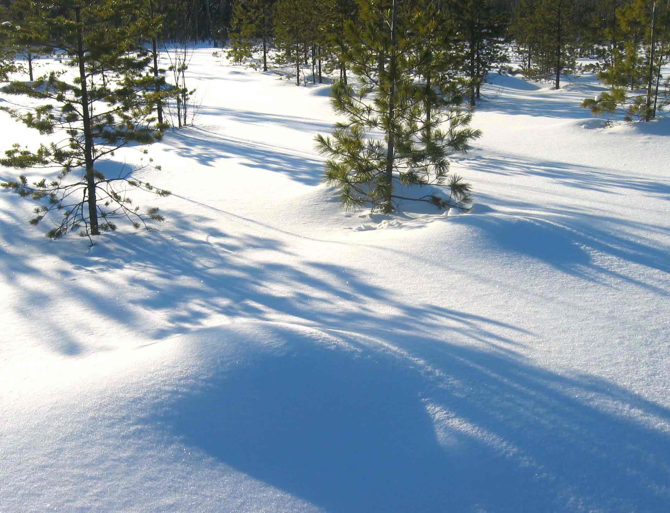 ФЕВРАЛЬСКИЕ АКВАРЕЛИ