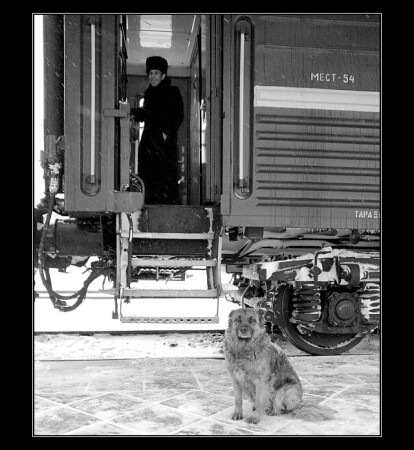 Самарская дорожная/3/