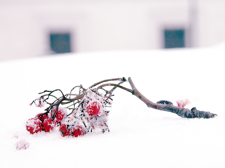 Reds&amp;Whites