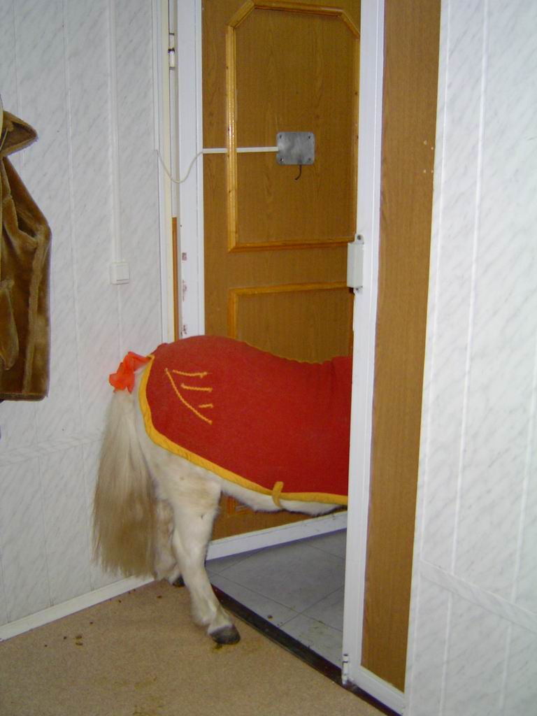 Войти можно?