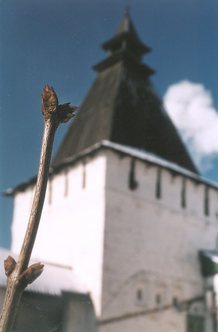 Боровский монастырь