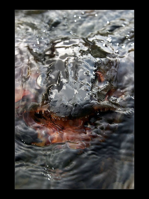 Таймень-1: underwater horror