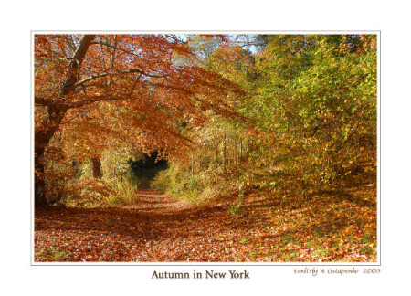 Autumn in New York #2