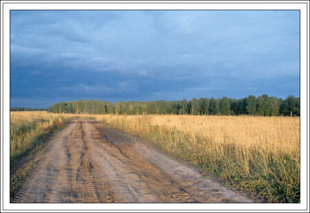 В полях