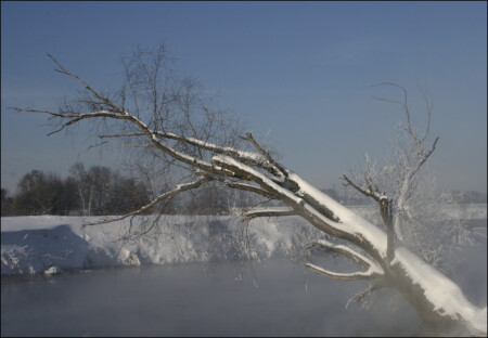 Зимний пейзаж