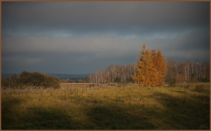осенняя 