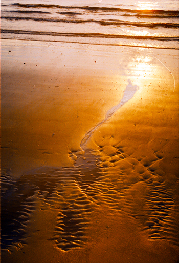 Воды Белого моря