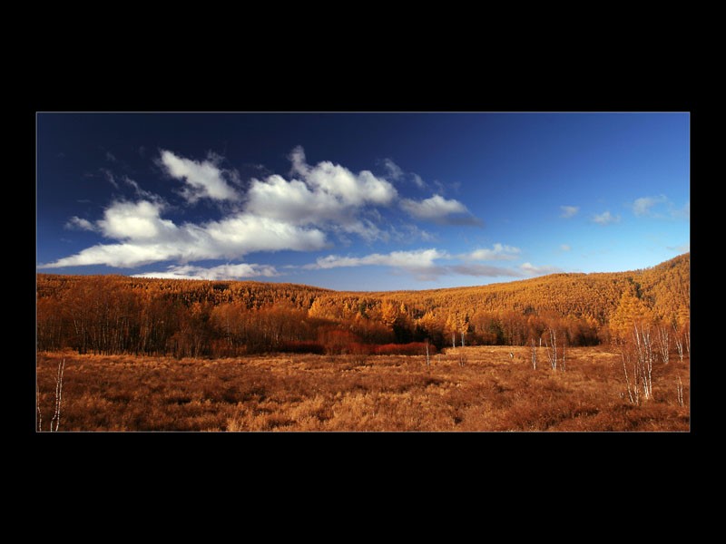 Яркие краски осени