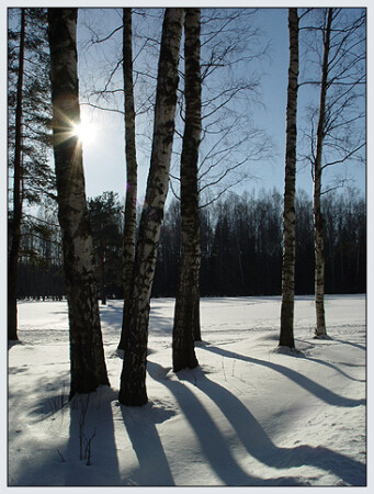 Солнечная погода