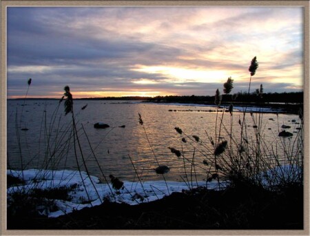 Берег моего острова