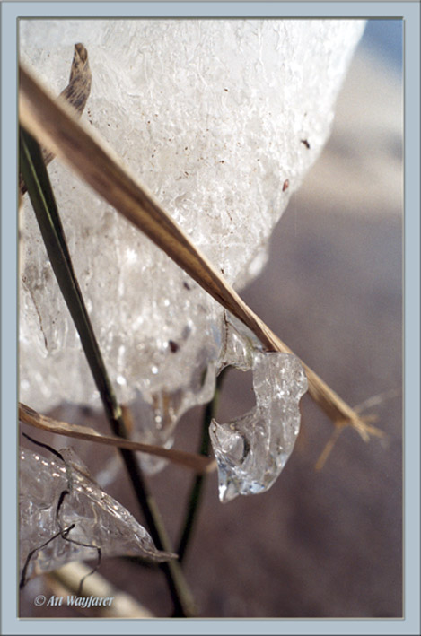 Small ice sculture