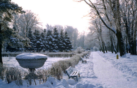 Зимний этюд