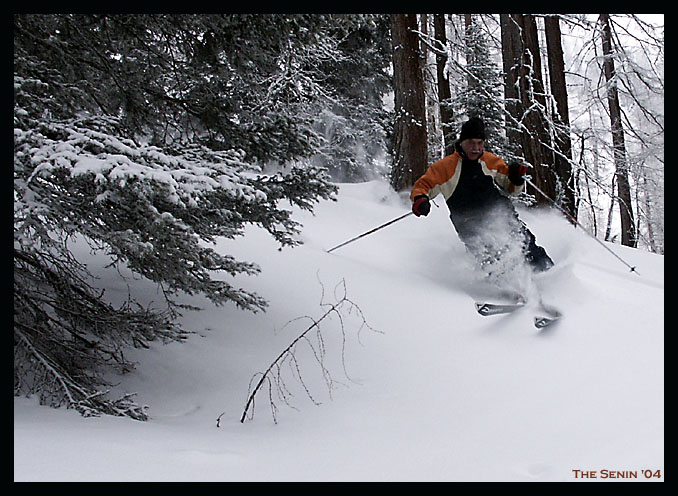Freeride...