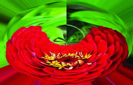 цветок для геймера