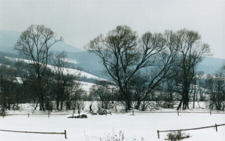 Карпатская графика