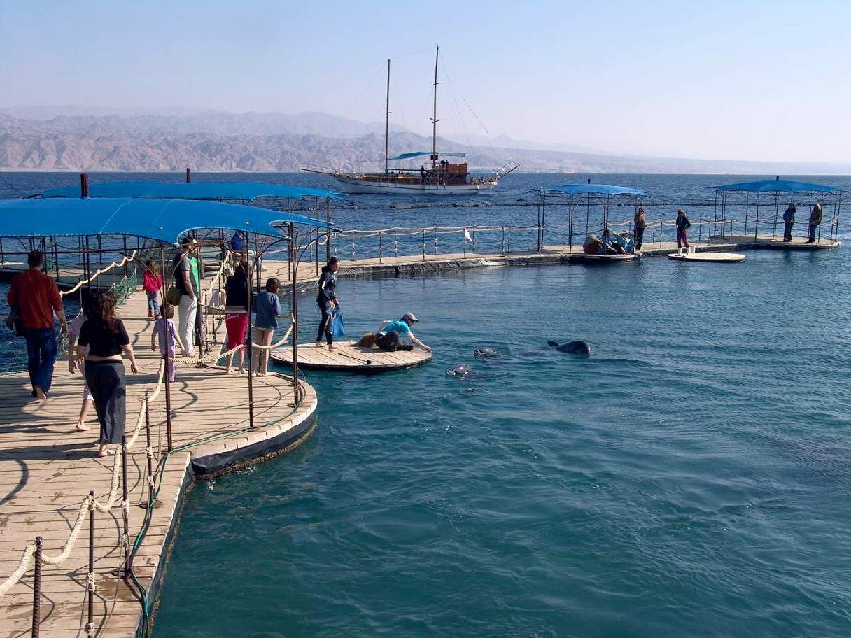 Eilat. Дельфин Риф