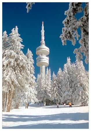 Зарисовка зимняя