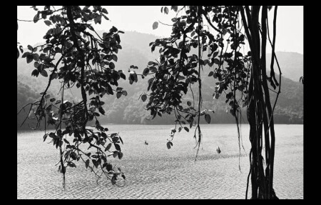 Безмятежность