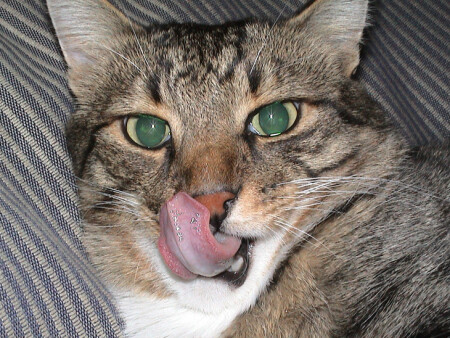 А добавка будет?