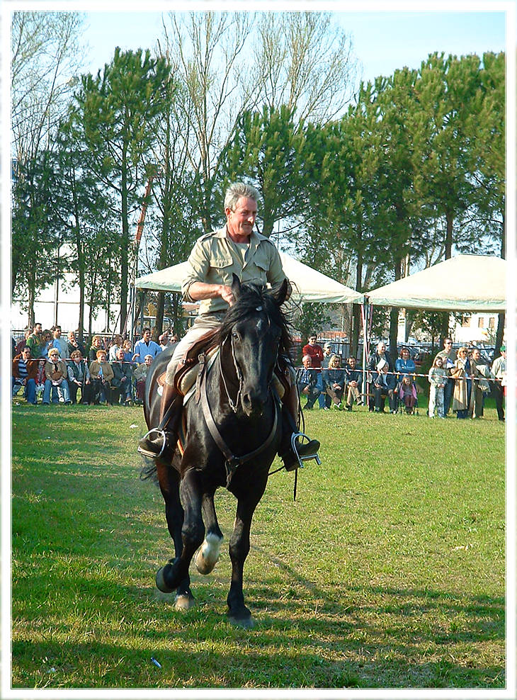 &quot;Cavallo&quot;