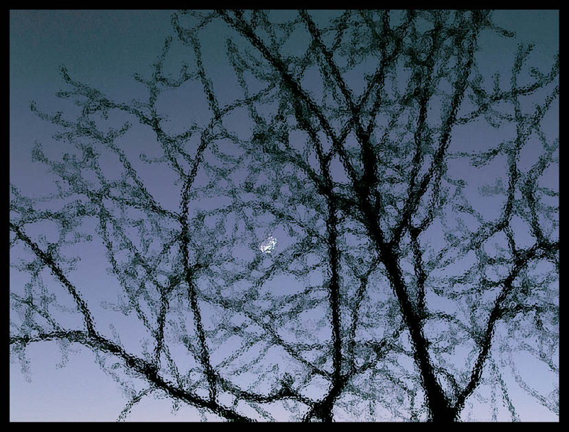 Ночная луна