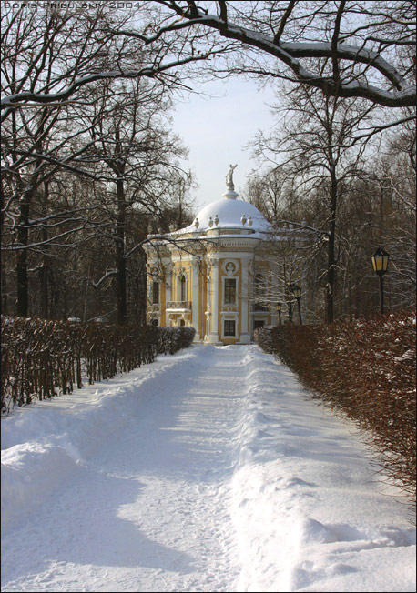 Дворцовые аллеи