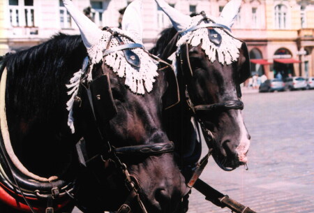 Полная готовность