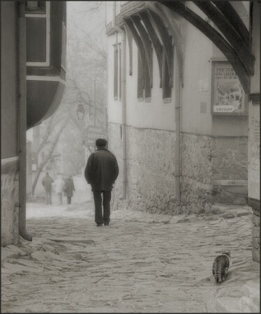 Вечерний променад