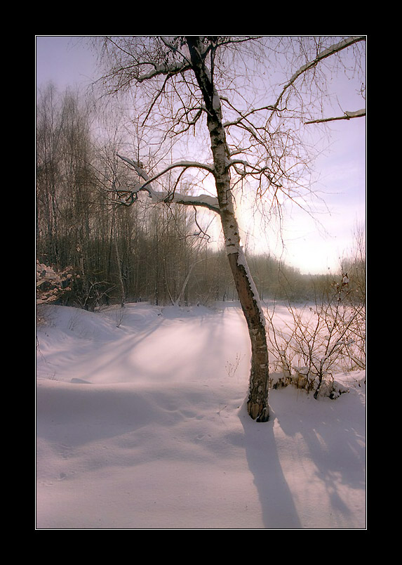 ЗИМНЯЯ... БЕРЁЗОВАЯ... :)