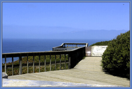 Way to the Ocean