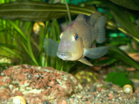 Всем привет!