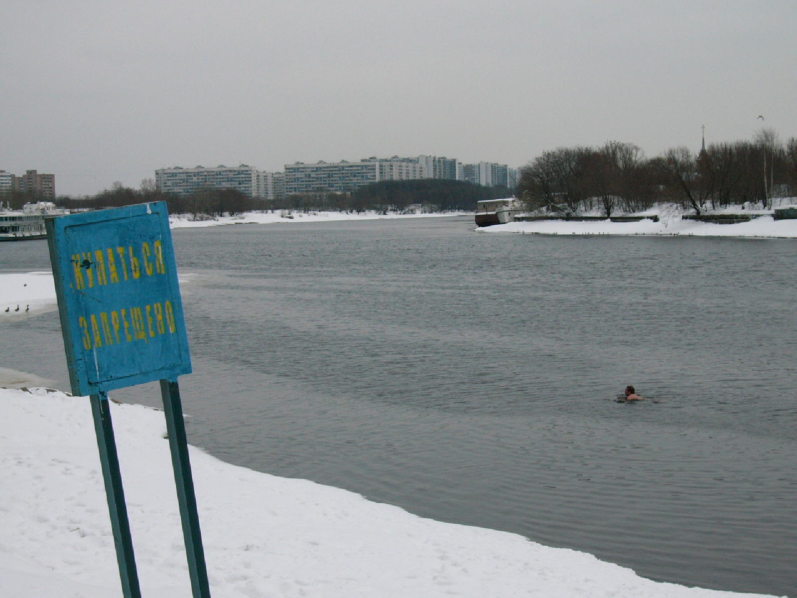 морж