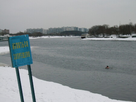 морж