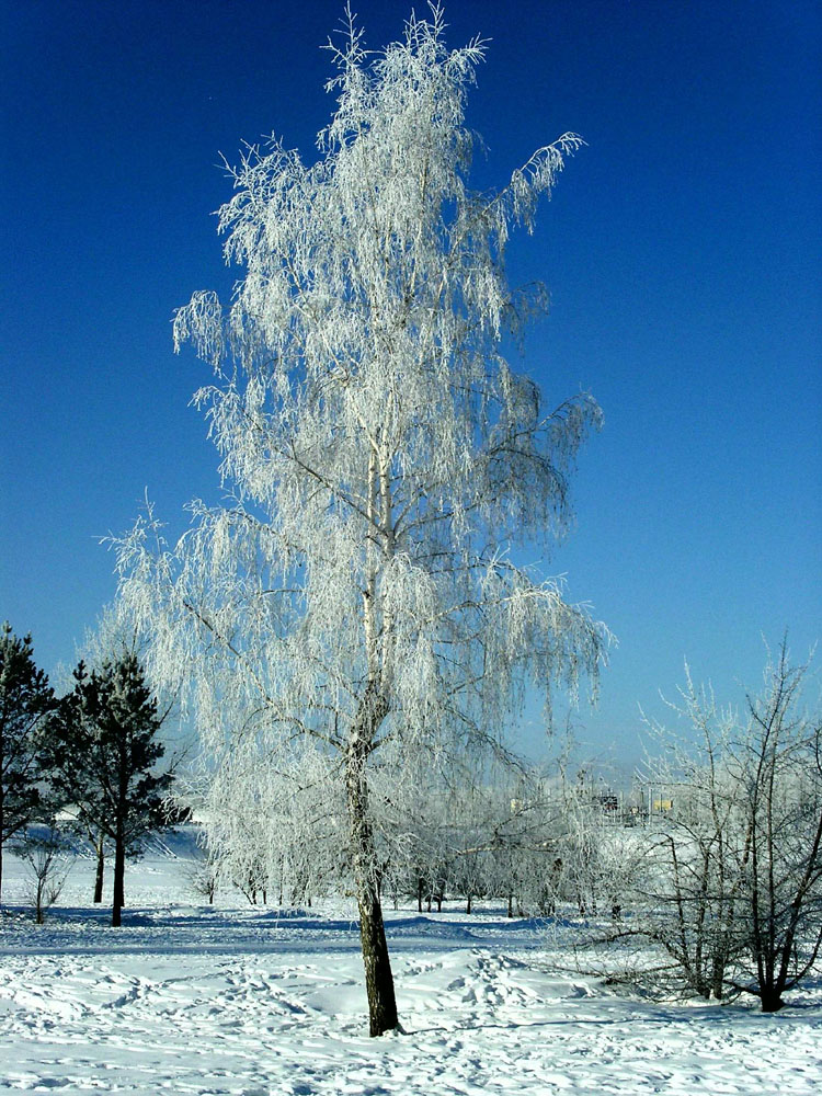 На реке на Ангаре